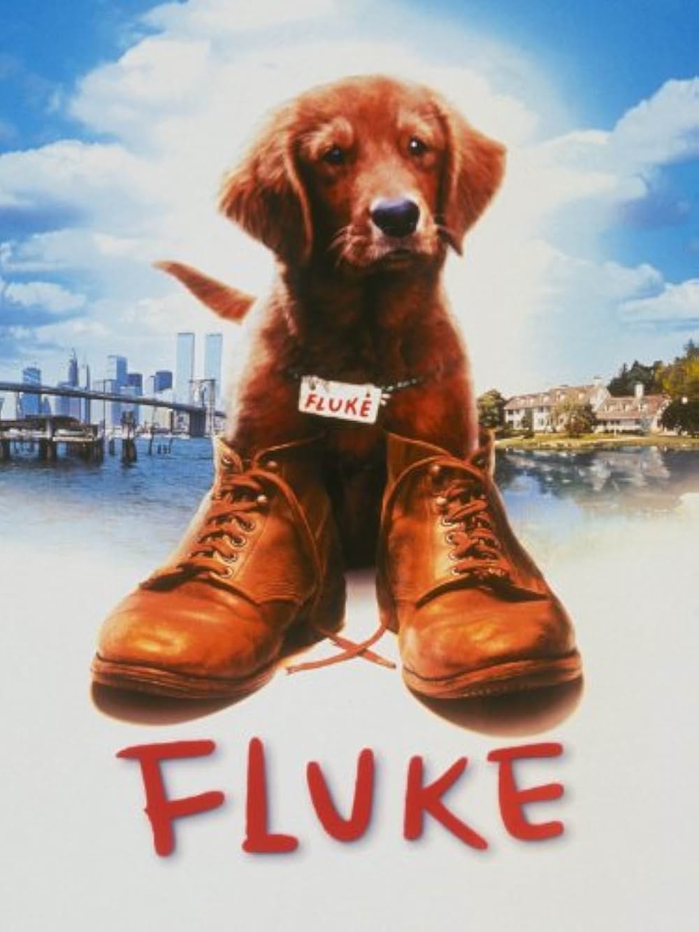 フルークの画像