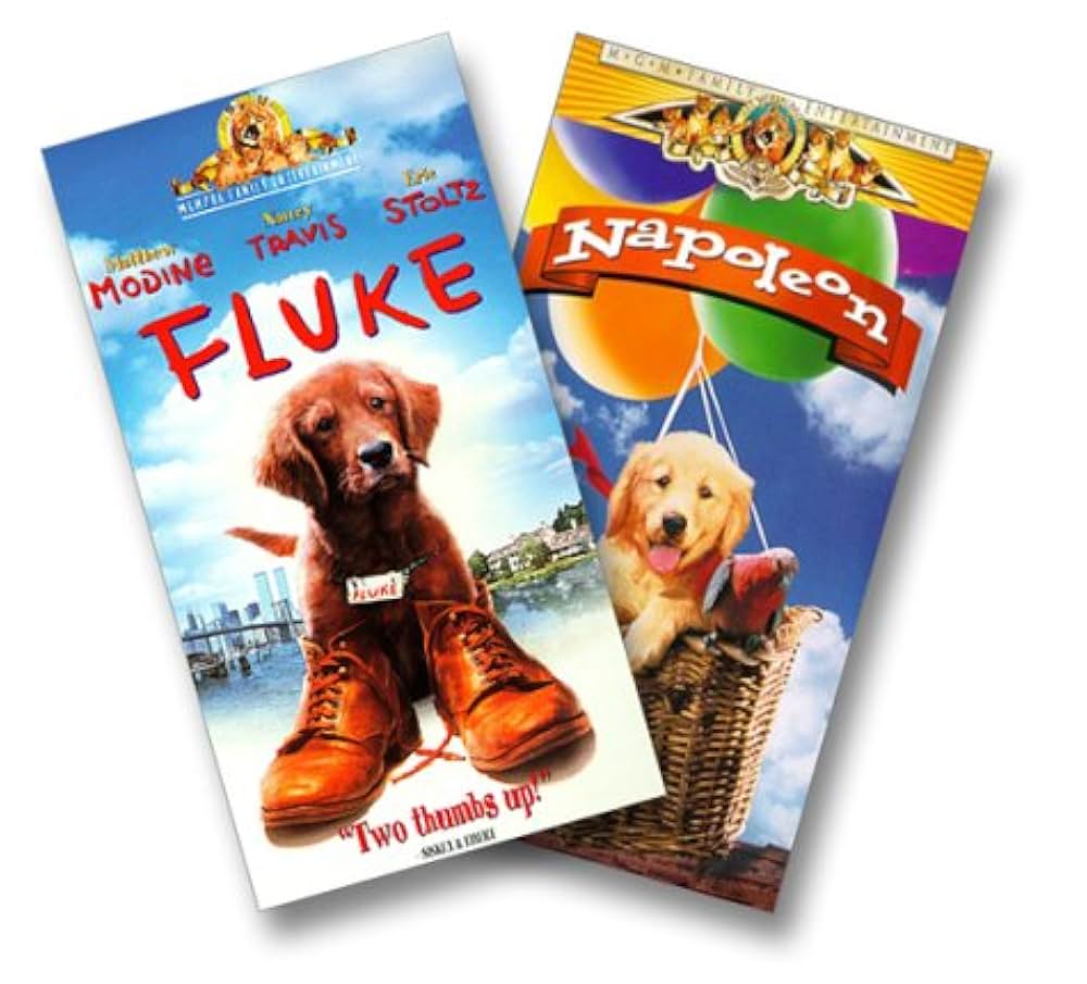 フルークの画像