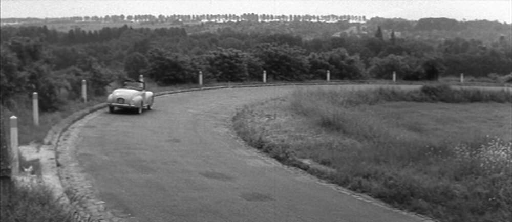 恋人たちの画像