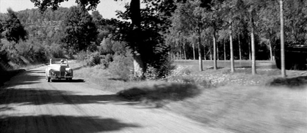 恋人たちの画像