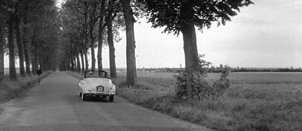 恋人たちの画像