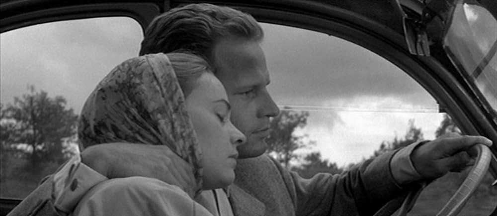 恋人たちの画像