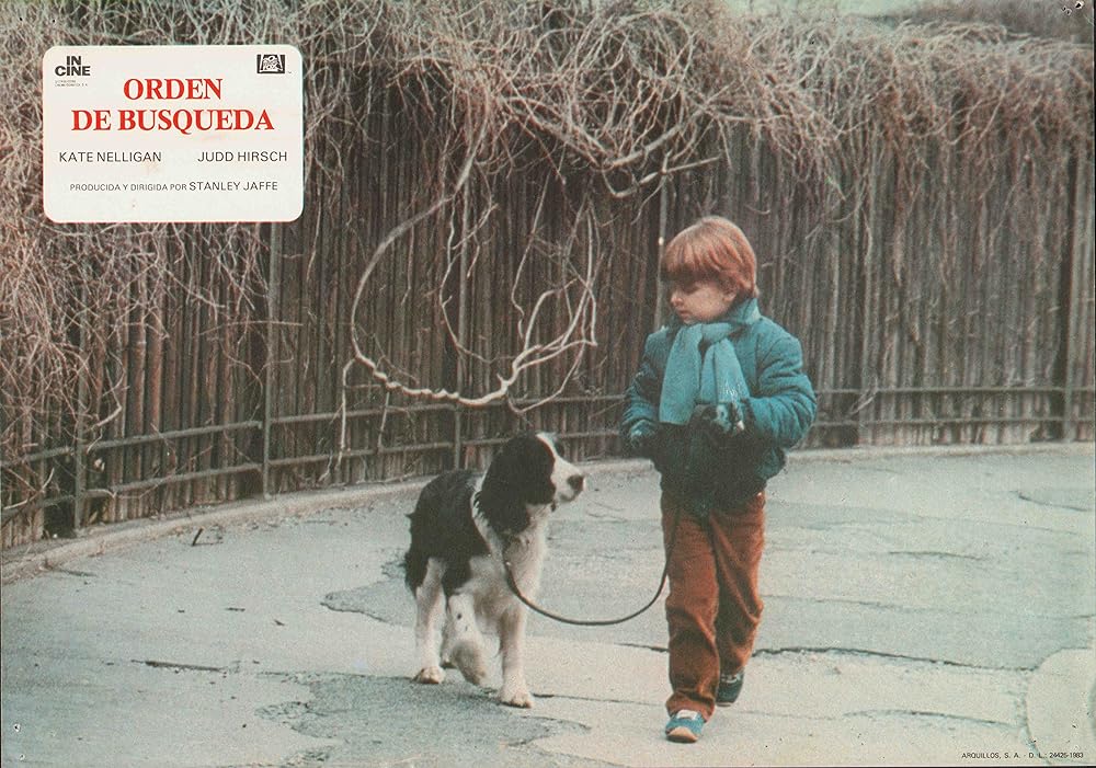 天使の失踪の画像