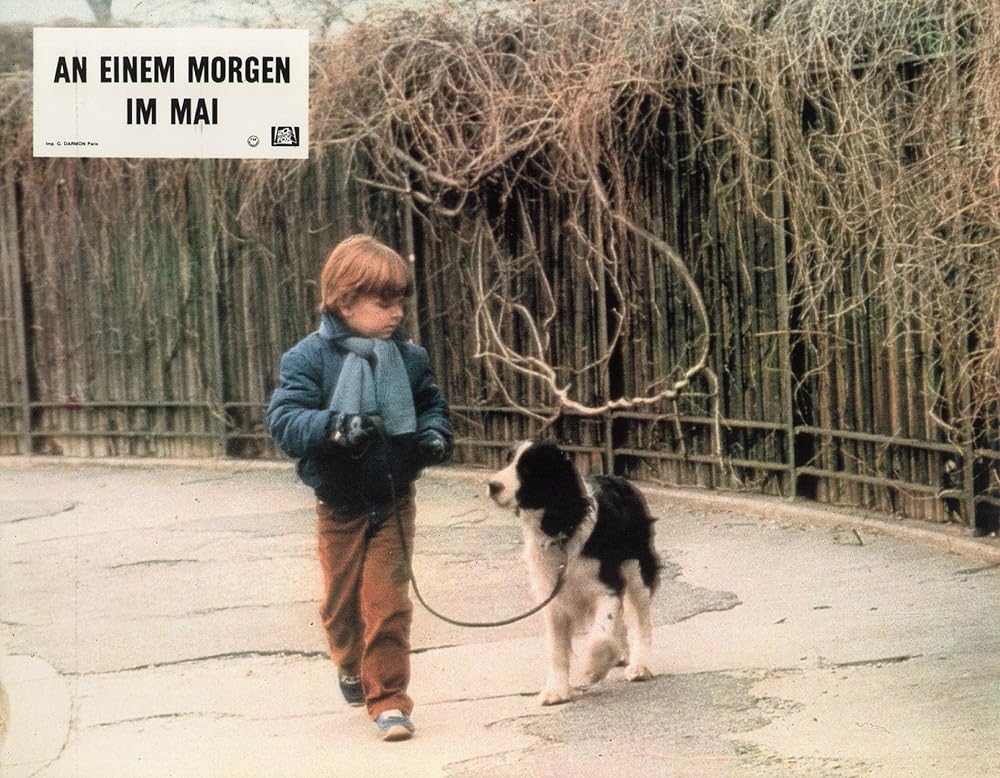 天使の失踪の画像