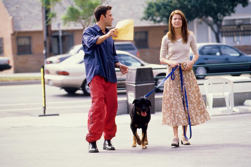 偶然の恋人の画像