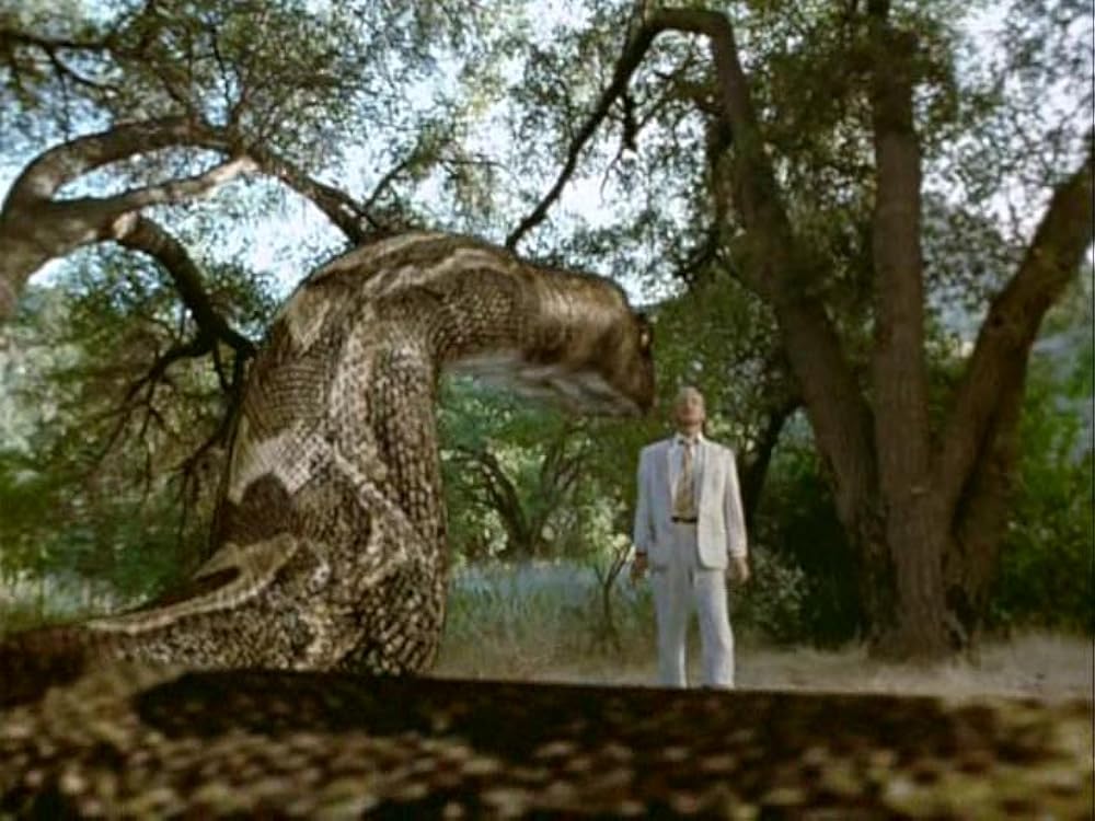 パイソンの画像