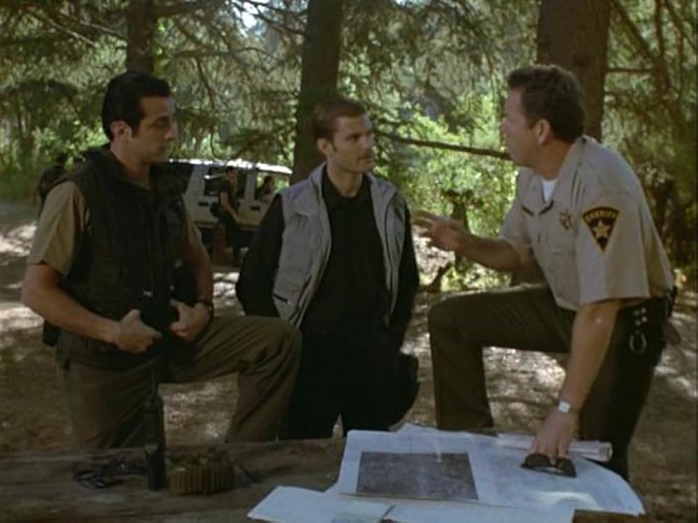 パイソンの画像