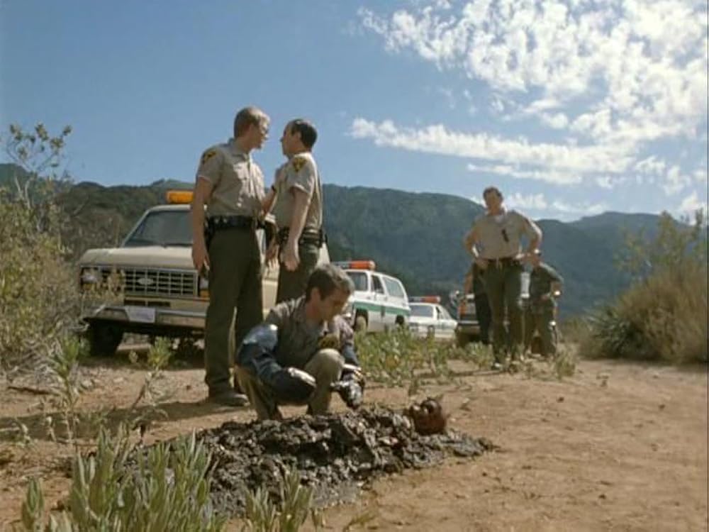 パイソンの画像