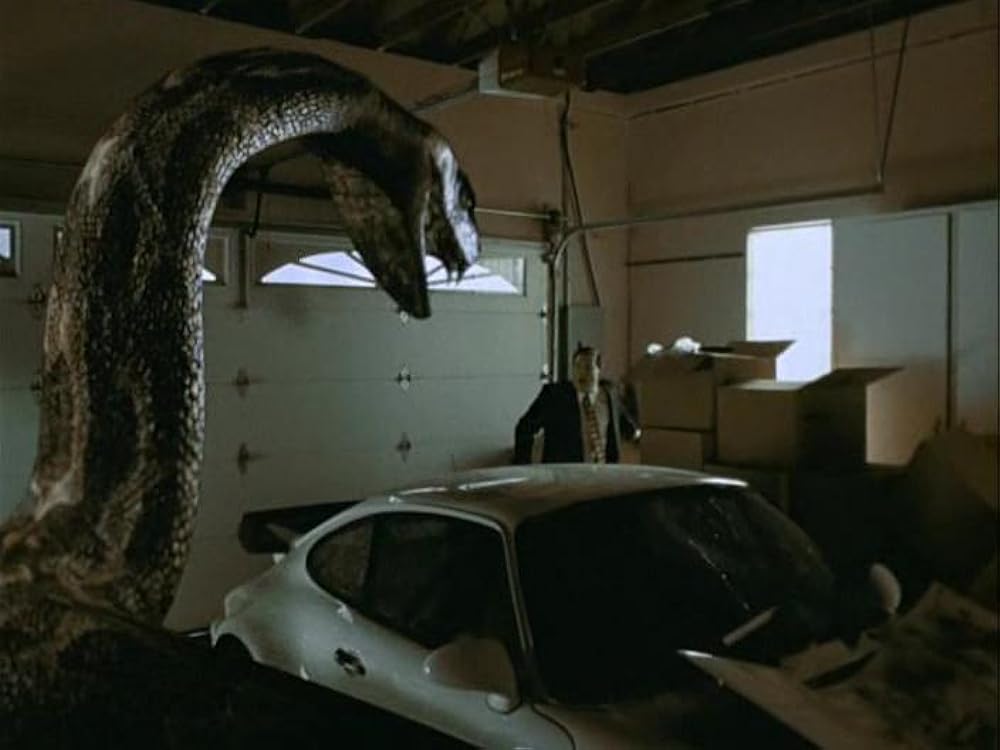 パイソンの画像