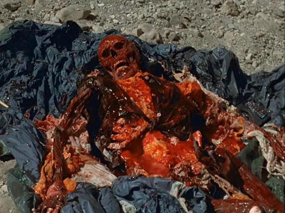 パイソンの画像