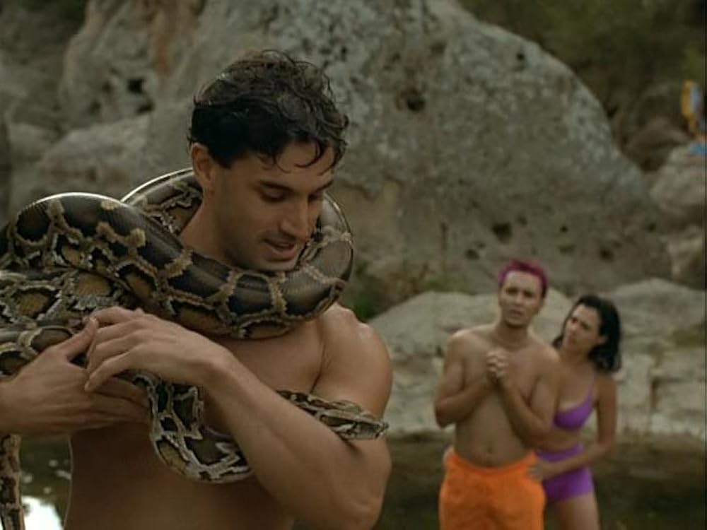 パイソンの画像