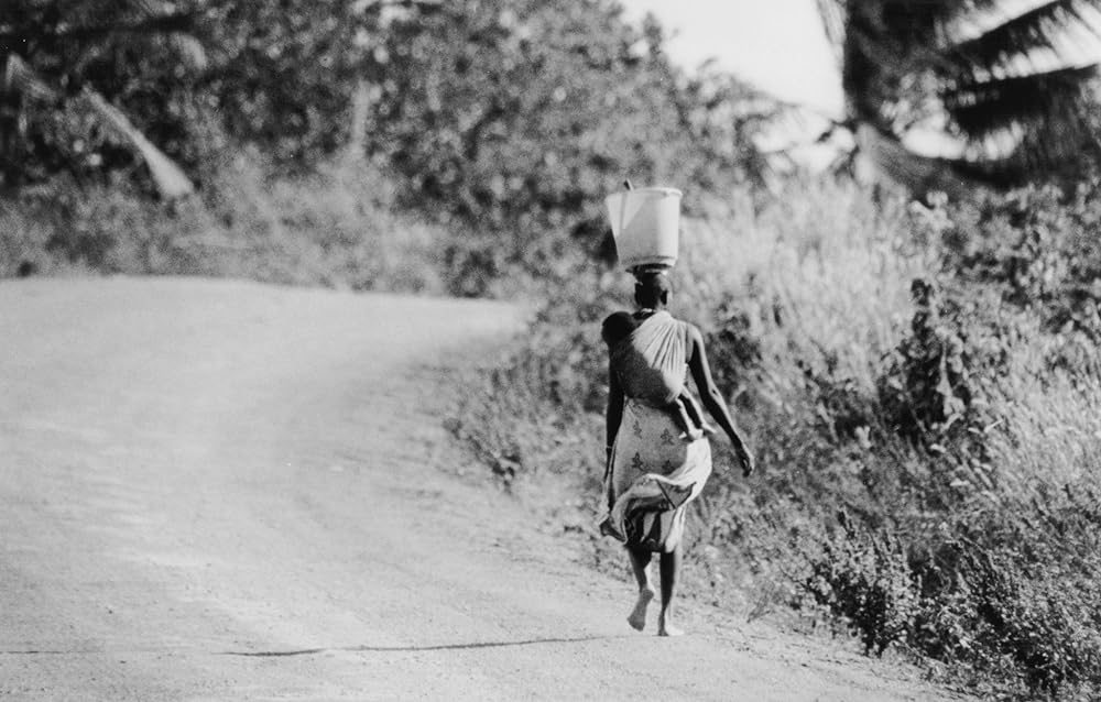 ポワカッツィの画像