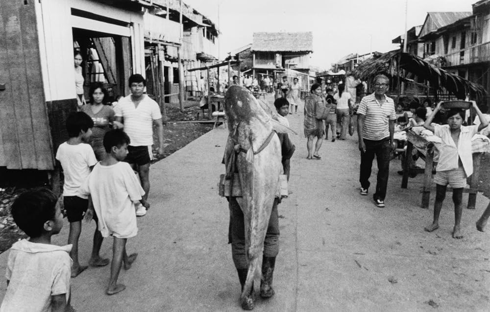 ポワカッツィの画像