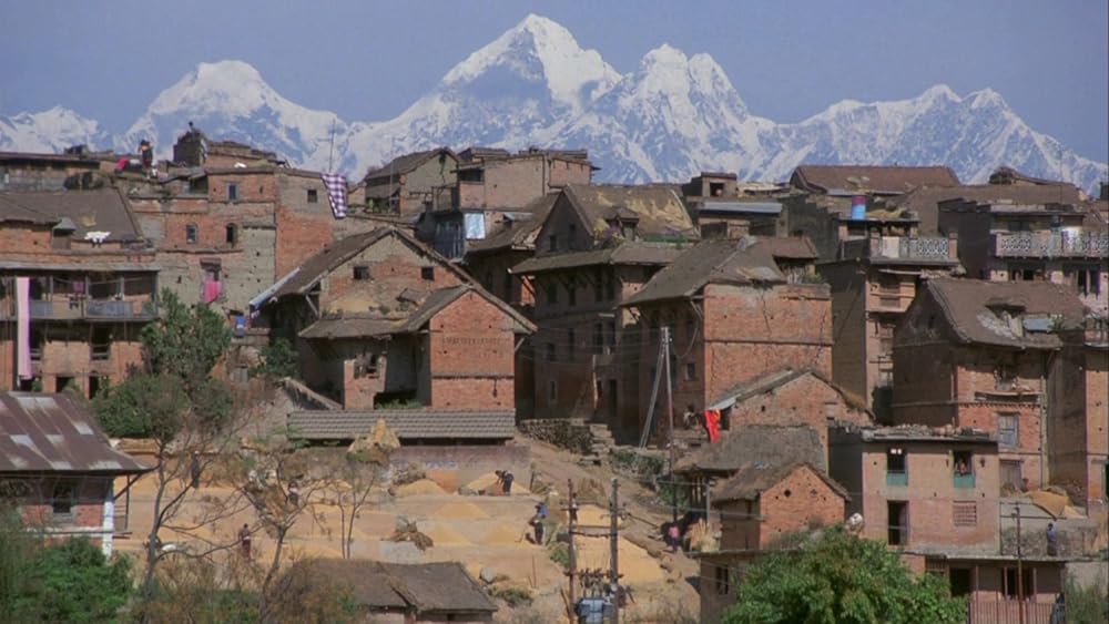 ポワカッツィの画像