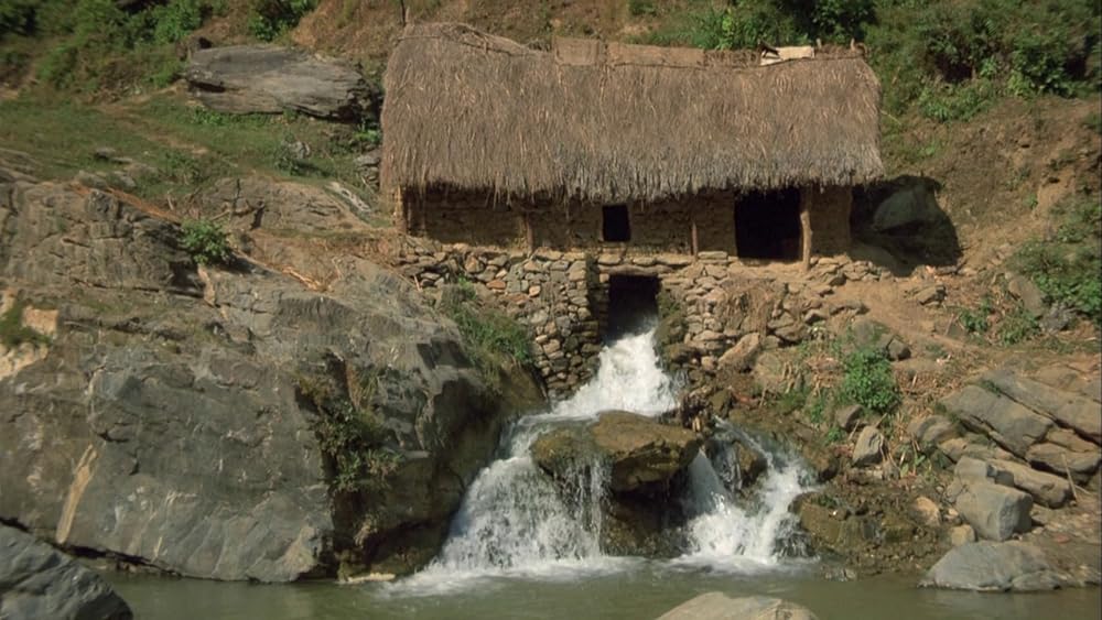 ポワカッツィの画像