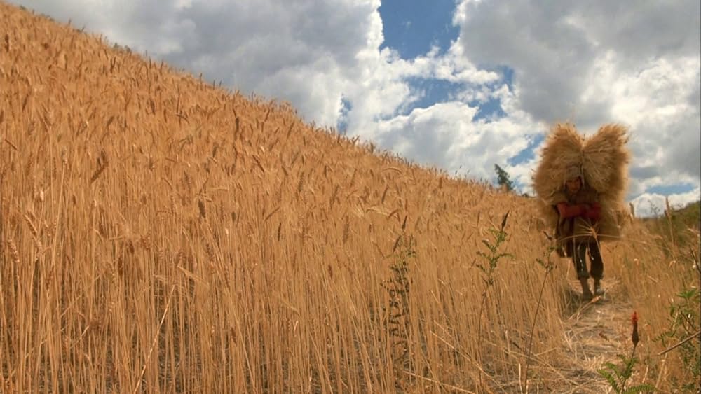 ポワカッツィの画像