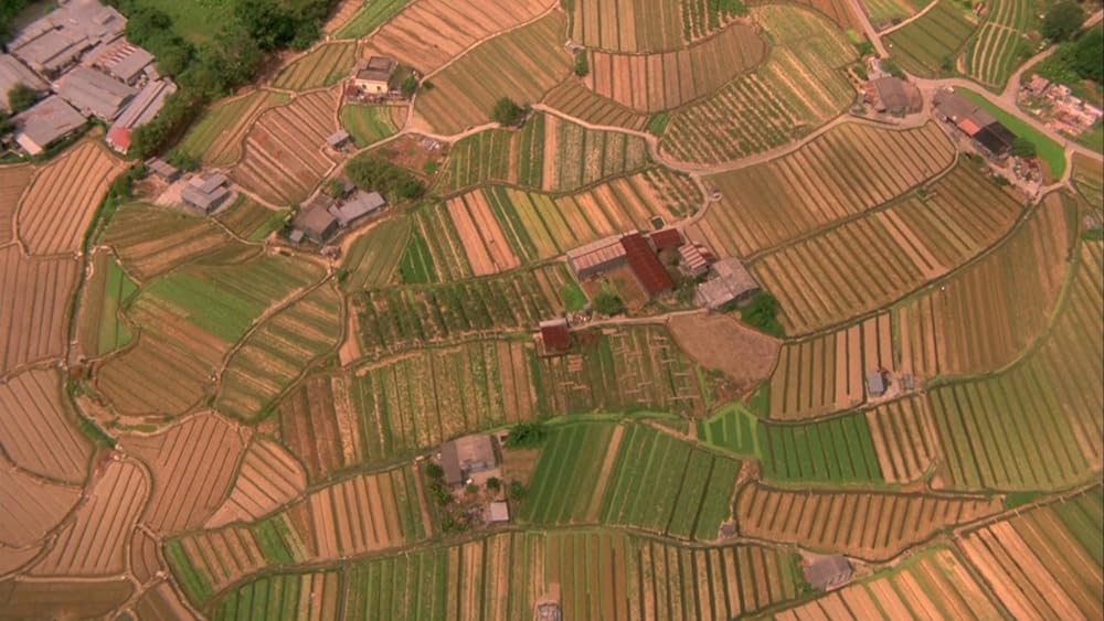 ポワカッツィの画像