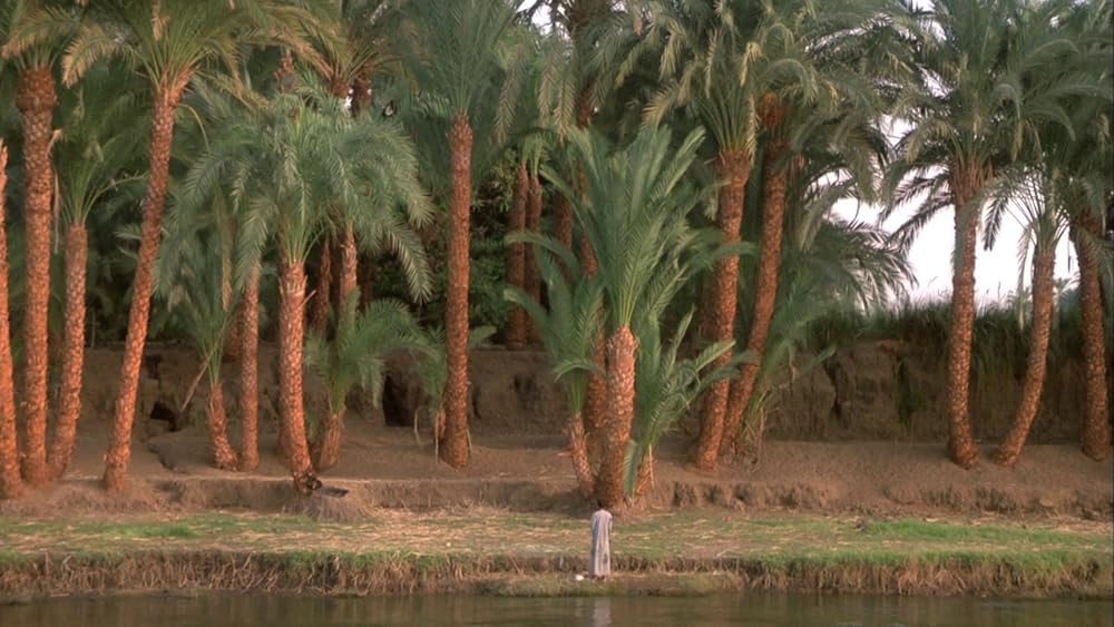 ポワカッツィの画像