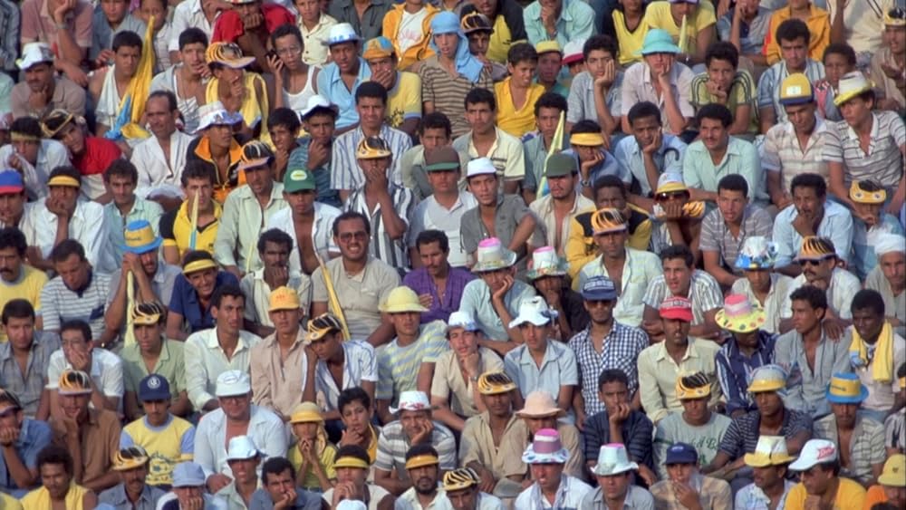 ポワカッツィの画像