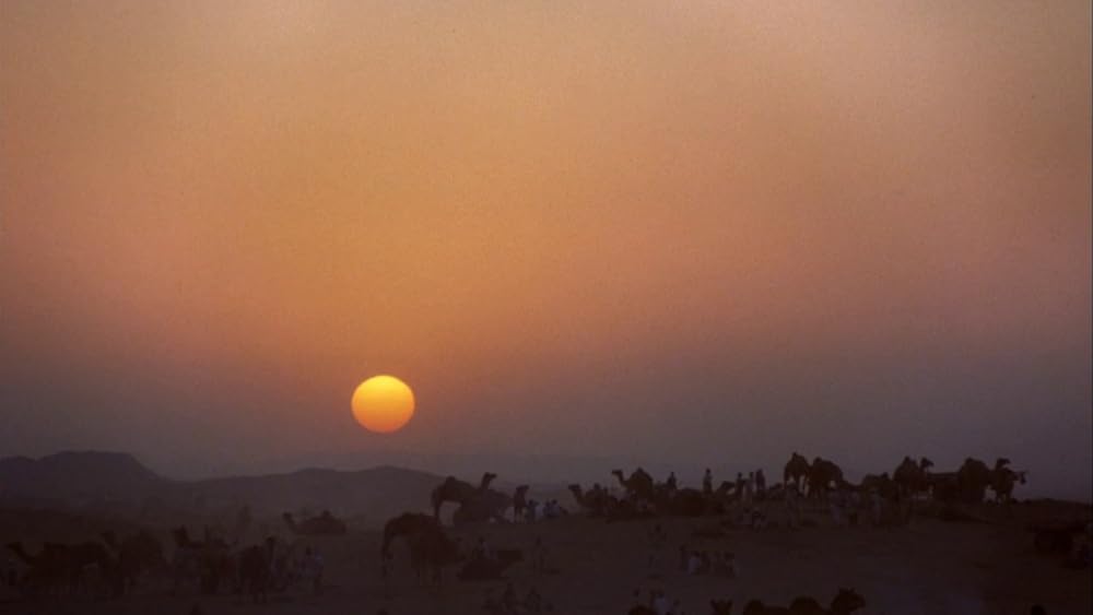 ポワカッツィの画像