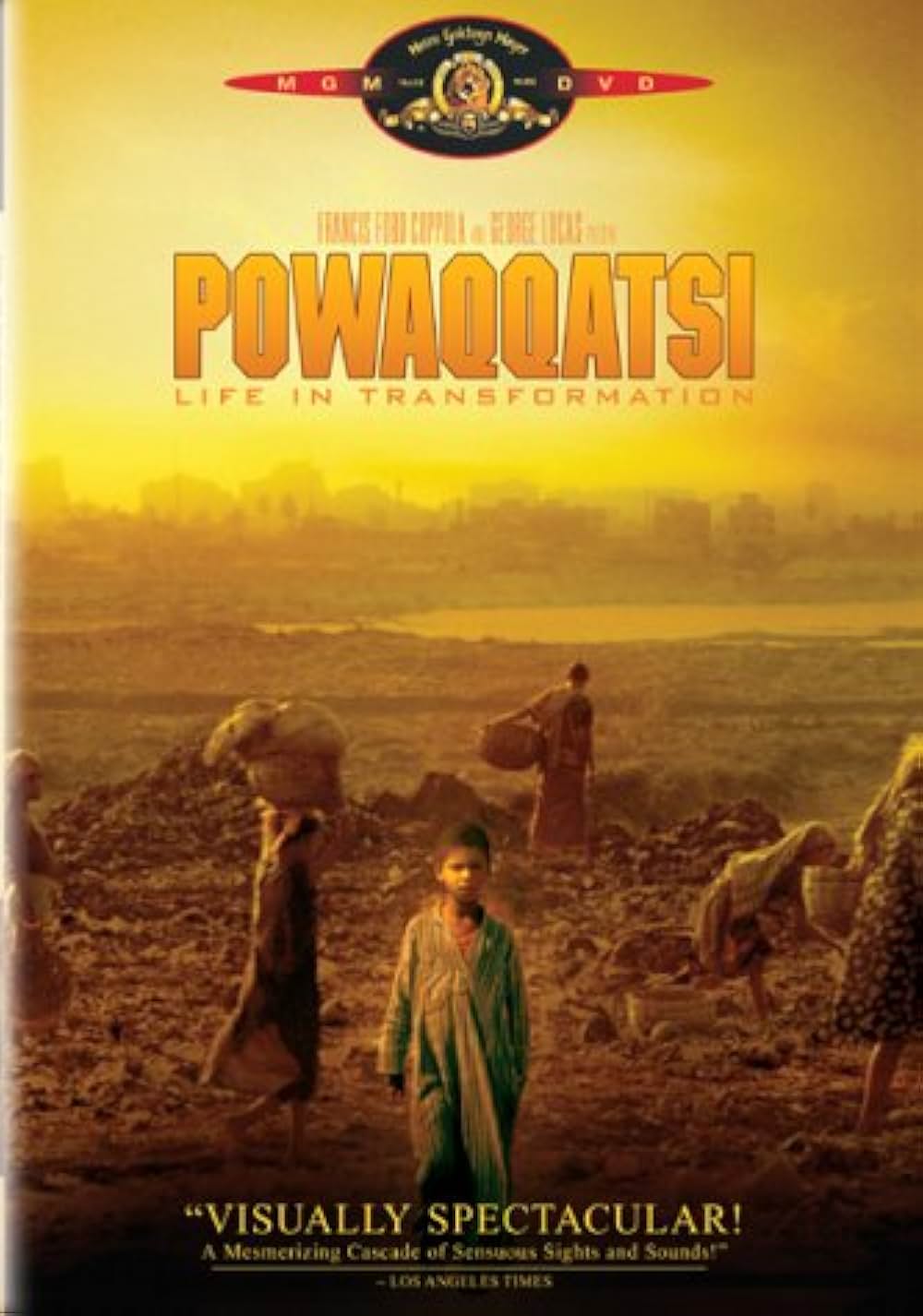 ポワカッツィの画像