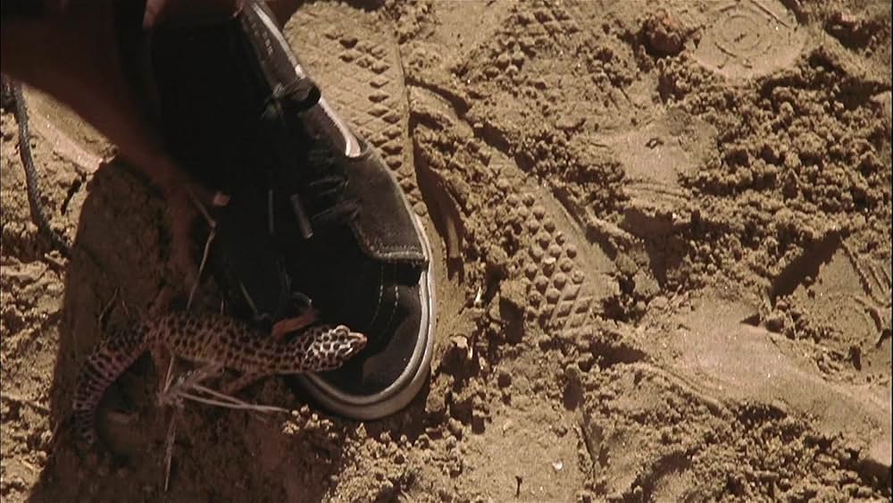 クール・ボーダーズの画像