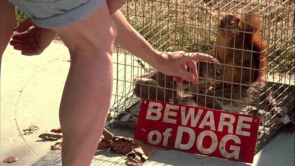 クール・ボーダーズの画像