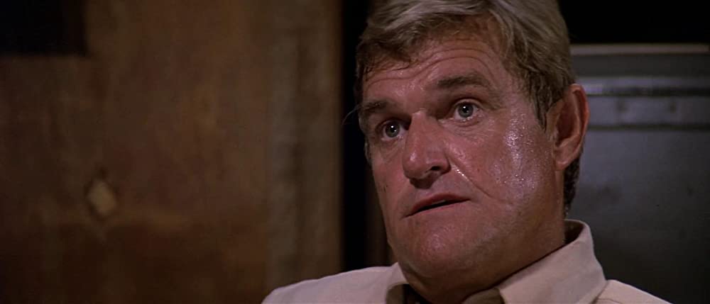 ランボー／怒りの脱出の画像