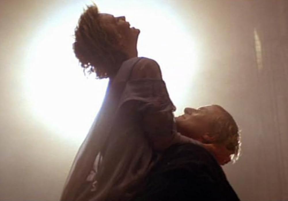 レディホークの画像