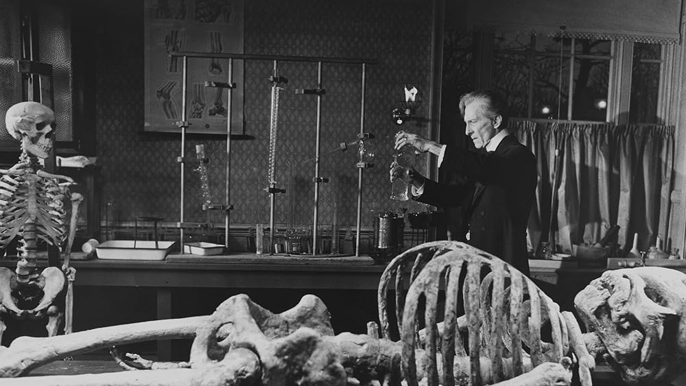 ゾンビ襲来の画像