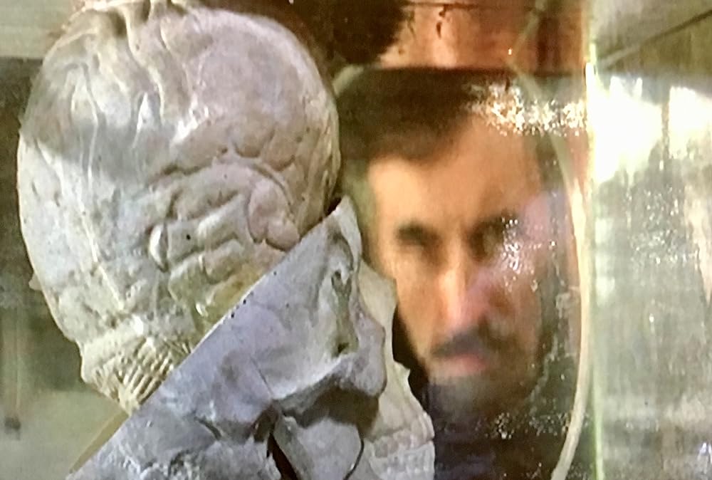 ゾンビ襲来の画像