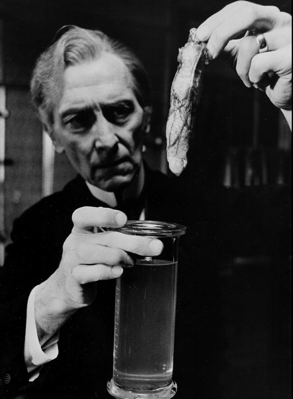 ゾンビ襲来の画像