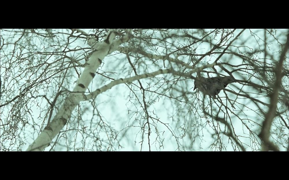 暴走特急 シベリアン・エクスプレスの画像