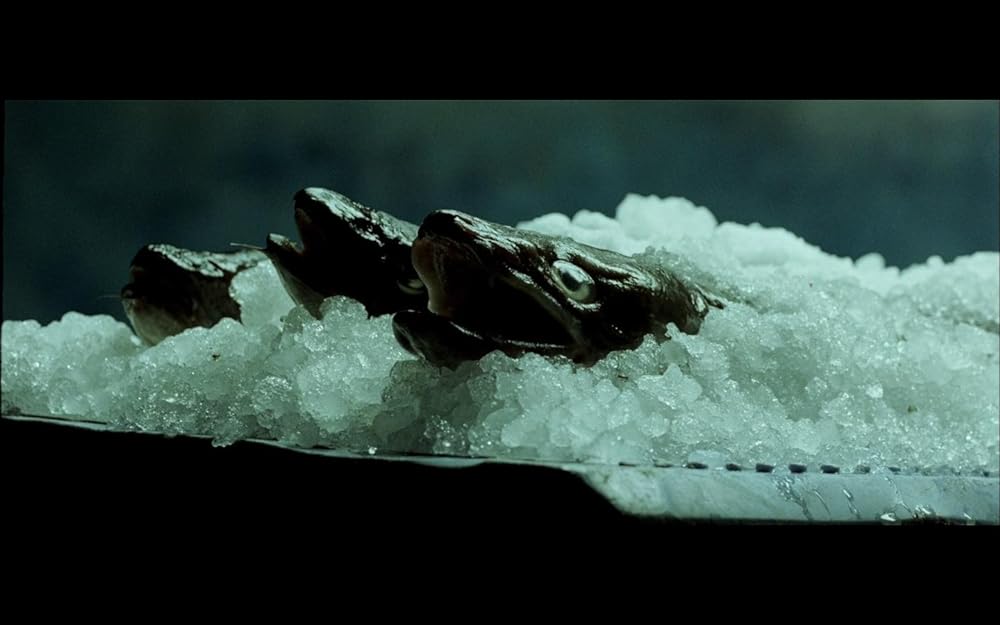 暴走特急 シベリアン・エクスプレスの画像