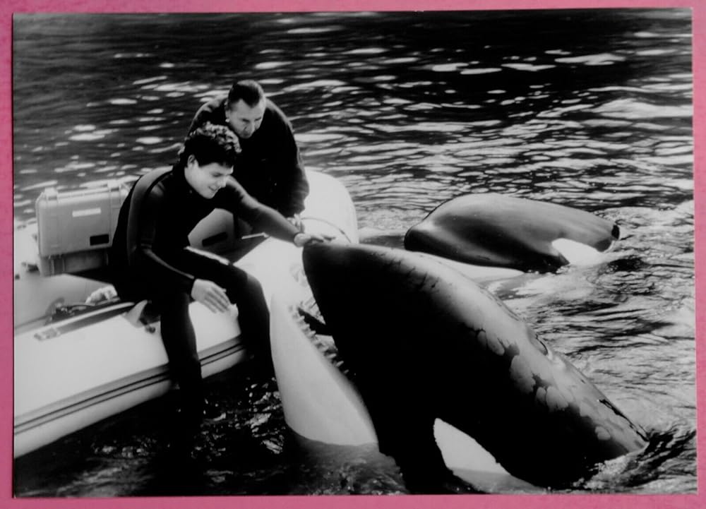 フリー・ウィリー3の画像