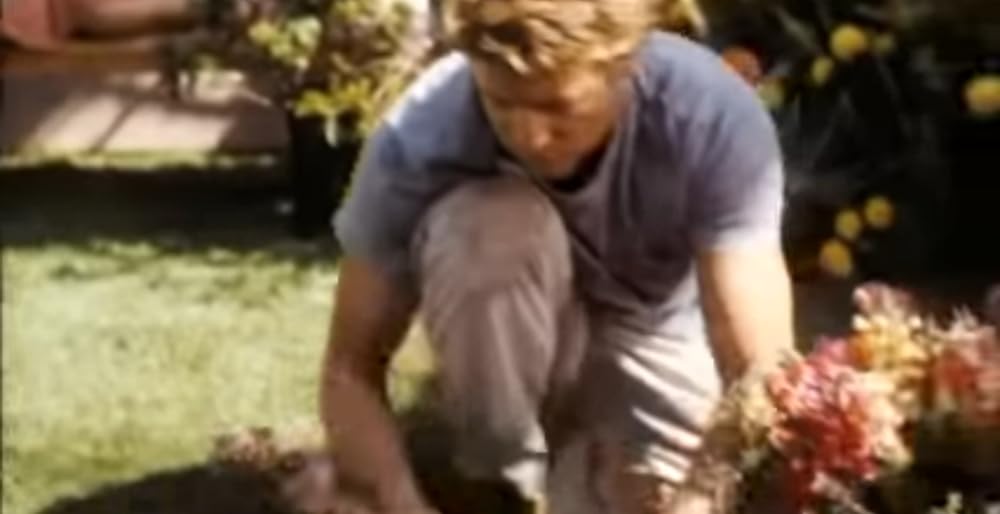 サムシング・ニューの画像