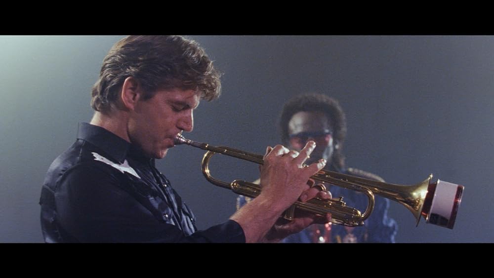 ディンゴの画像