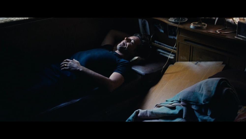 ディンゴの画像