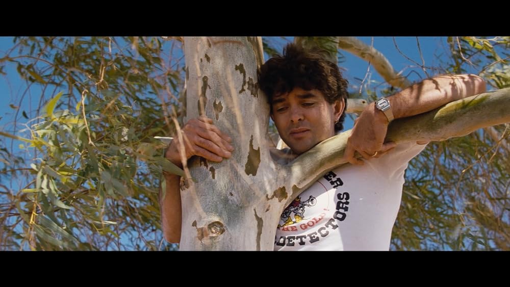 ディンゴの画像