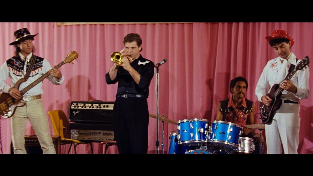 ディンゴの画像