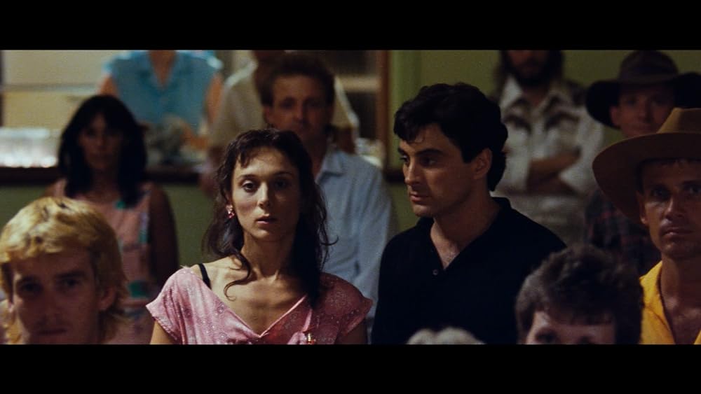 ディンゴの画像