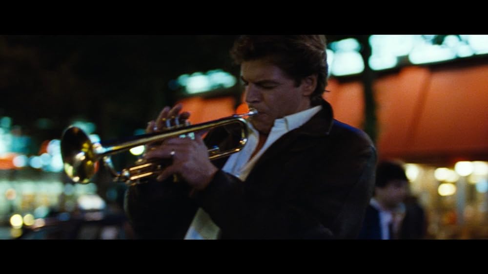 ディンゴの画像