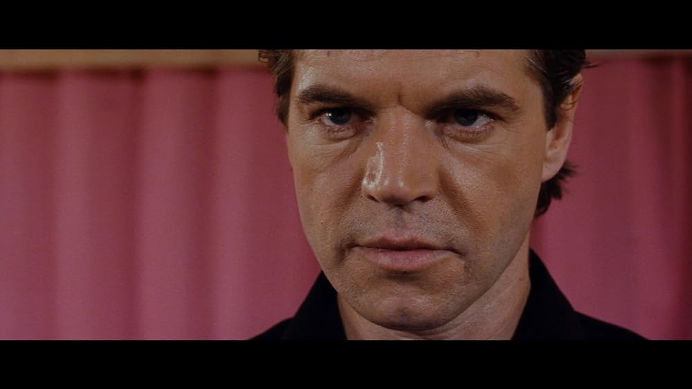 ディンゴの画像