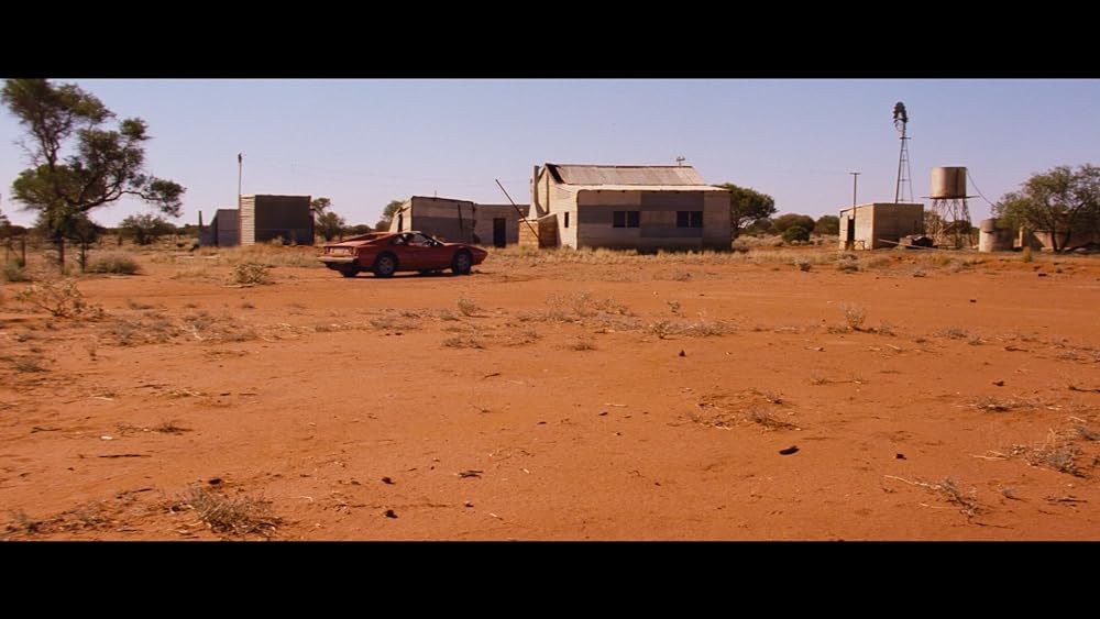 ディンゴの画像