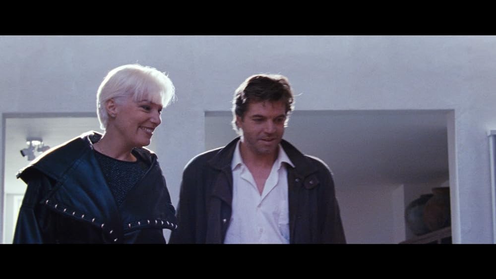 ディンゴの画像