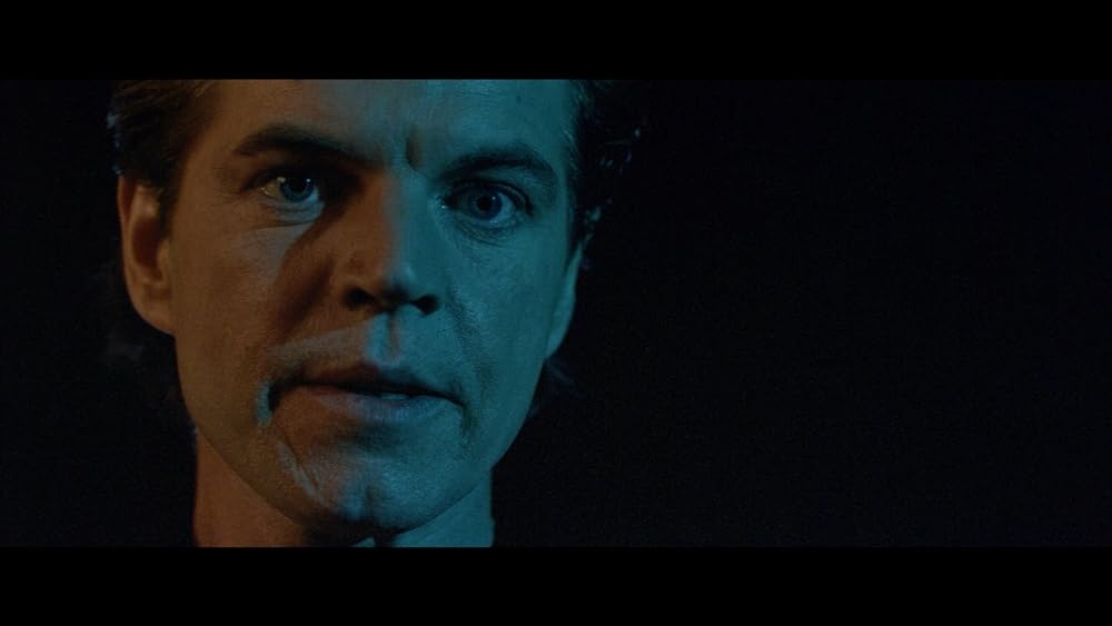 ディンゴの画像