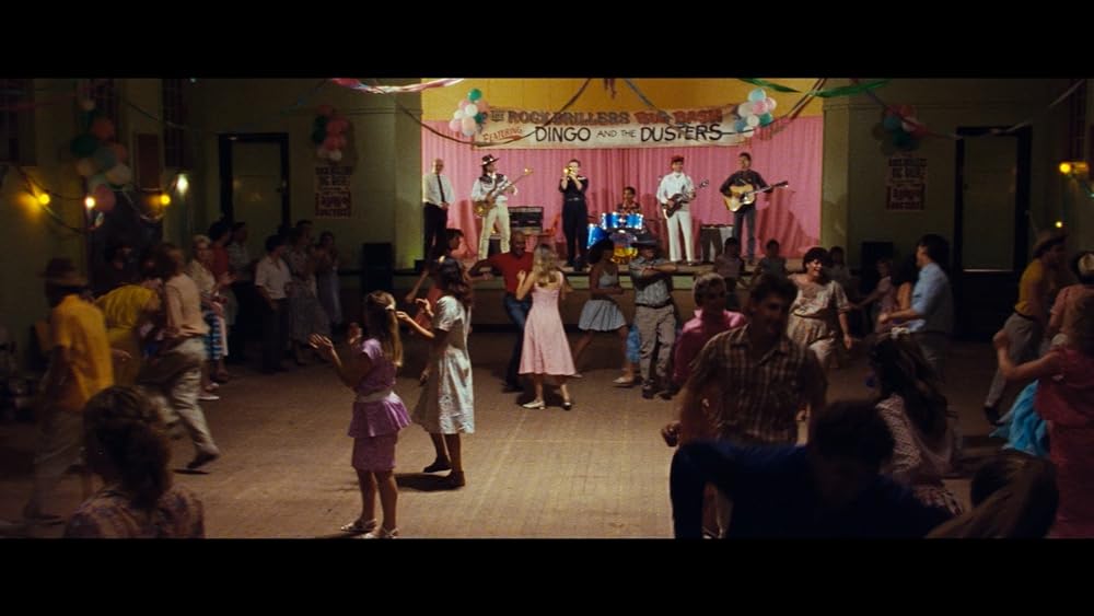 ディンゴの画像