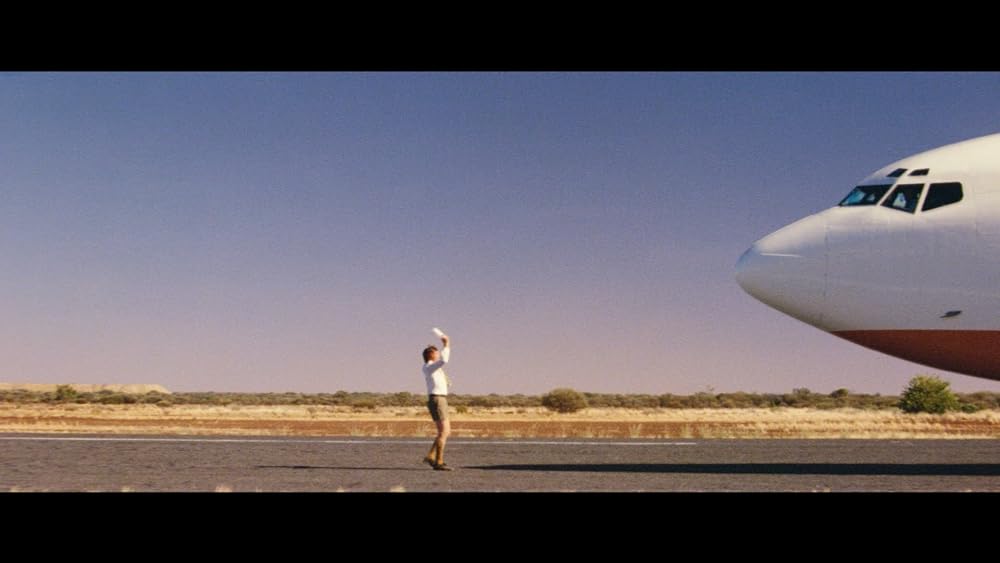 ディンゴの画像