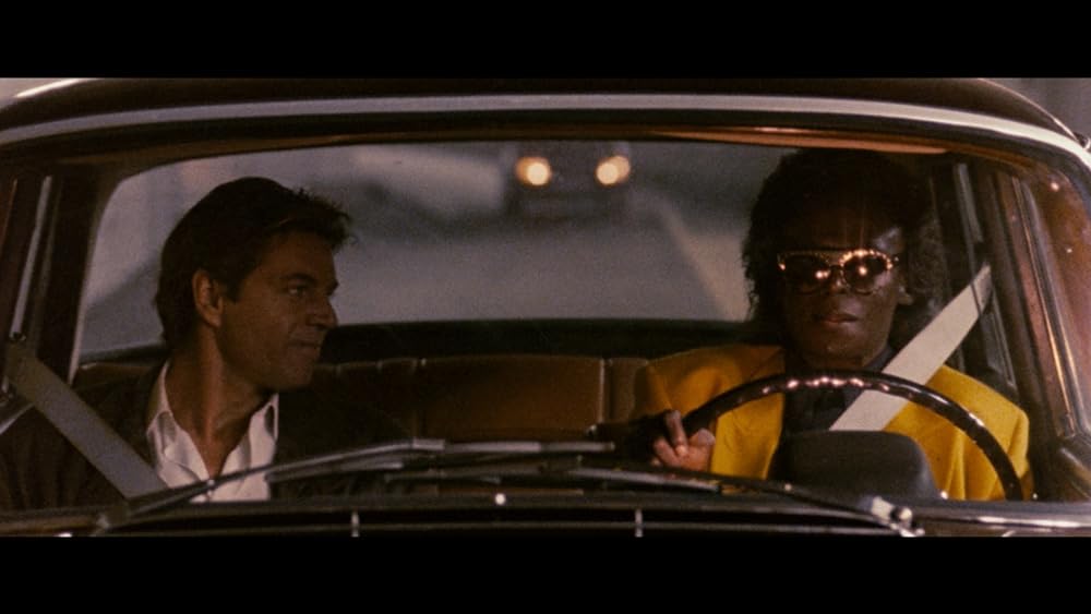 ディンゴの画像