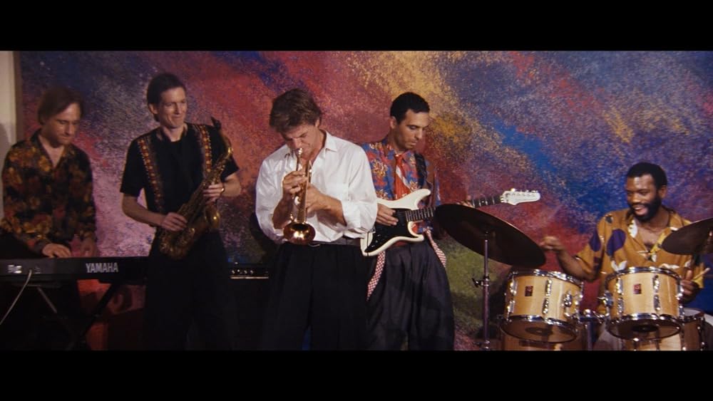 ディンゴの画像